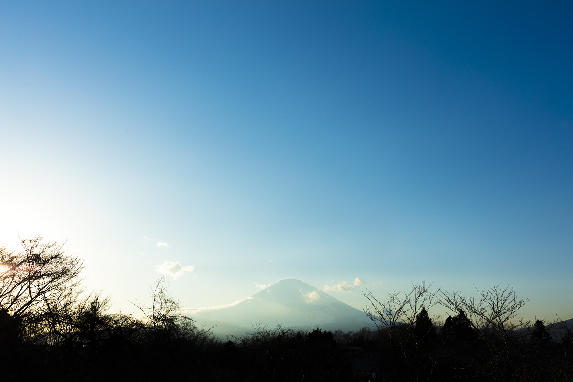 静岡探訪: 美食、美景、そして文化の究極の旅行ガイド